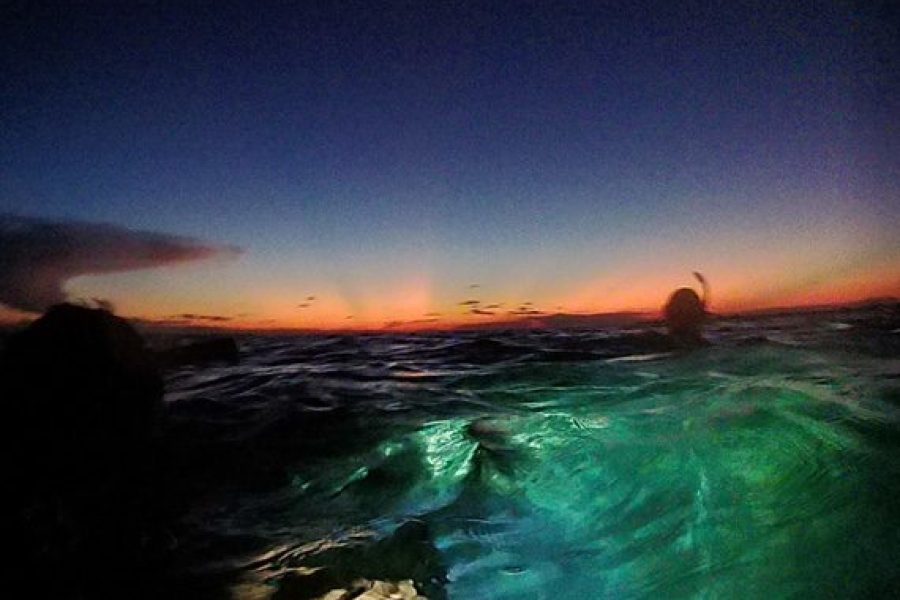 Discover the Magic of Night Snorkeling!